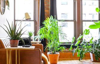 Jungle House Luxury Homes - Columbus Downtown Short North - Walk to Convention Center & Nationwide Arena - Sleeps up to 10 - Free Parking - Over 5,800 Five Stars - Foto 21