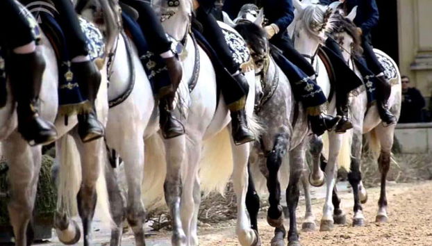 Jerez de la Frontera Trip - Foto 3