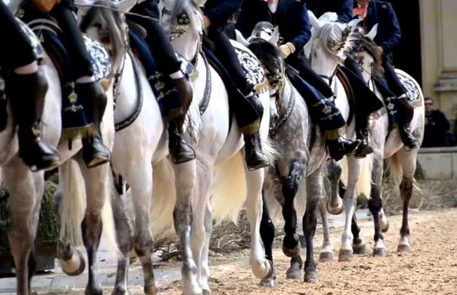 Jerez de la Frontera Trip - Photo 4