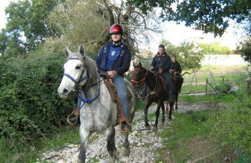 Agriturismo Baglio San Pietro - Foto 51