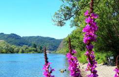 Ferienwohnung Ambiente - Foto 36