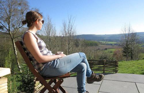 Ty Barcud Glamping Pod - Foto 13