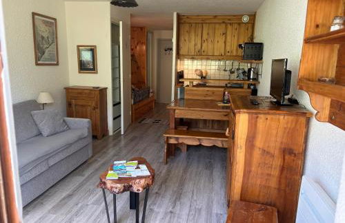 Studio Le P'tit Aigle pied des pistes et télécabine départ ski au pied - Photo 1