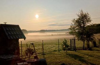 Zacisze pod brzozami - Foto 41