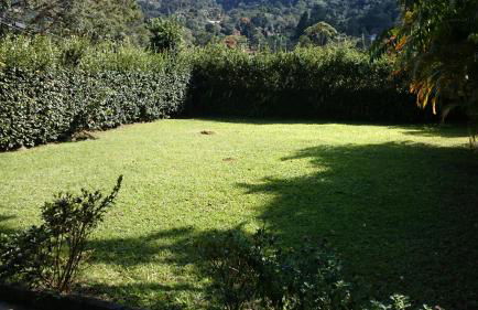 Casa de Araras - Foto 72