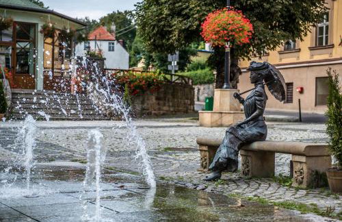 Apartament Silver - Głuszyca - Góry Sowie - Foto 34