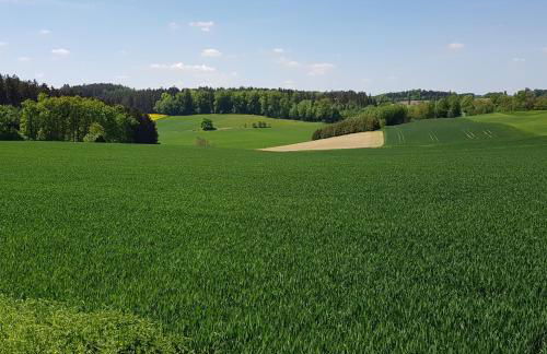 Apartment Curly - Foto 22