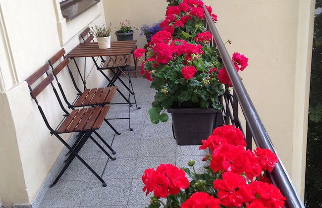 Apartments Dusní - Foto 7