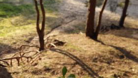 Natur-Freude-16 - Foto 3