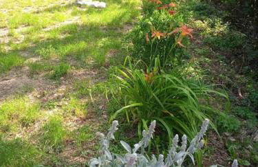 Family Green apartman Carlo - Foto 19