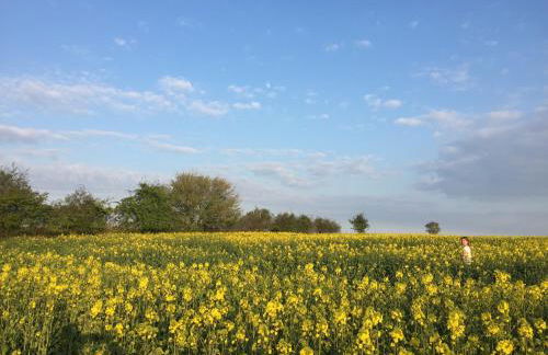 Ferienparadies Grube - Foto 28