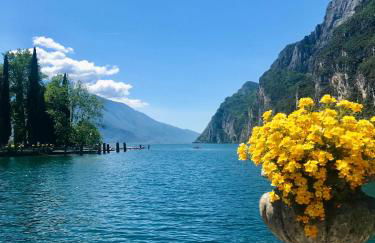 Lilli's apartment - Foto 52