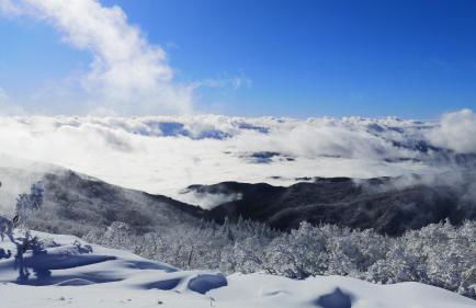 Casa fiordaliso - Foto 46
