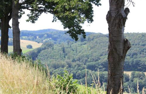Ferienwohnung Rimbach - Foto 17