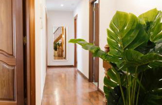 Casa peñasBLANCAS en Duruelo de la sierra Soria 12personas - Foto 24