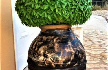 ARTE MARE d'Irene - Foto 77