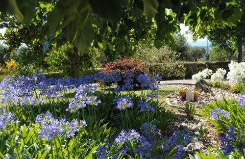 Quintinha Santar - Foto 32