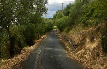 La casa del Podere - Foto 37