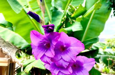 Macaronesia Love Spa, Sauna y Piscina by Deihu Experiences - Foto 19