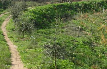 Casa da Bôcha - Foto 11