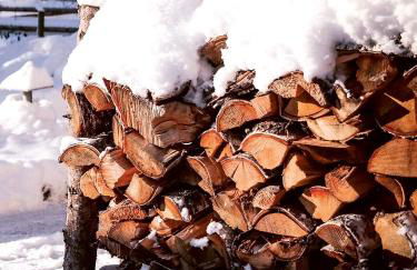 Dornröschen-Loft - Photo 62