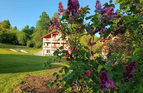 Nonićeva Hiža - Foto 42