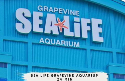 The Blue Holly - Bright & Spacious with a Pool - Foto 45