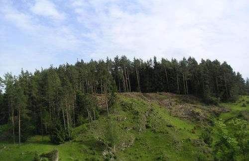 Natur-Aktiv-Hof Thiem - Foto 26