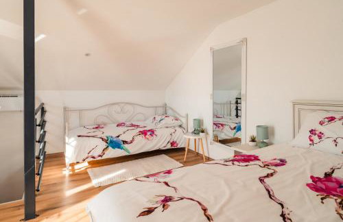 Villa Sole-kuća za odmor u Međimurju-Dragoslavec - Foto 40