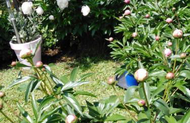 Ferienwohnung mit kleinem Garten - Foto 25