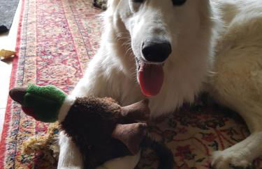 La Petite Maison du Gardien - Foto 17