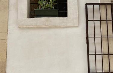 Cactus 31 - Foto 19