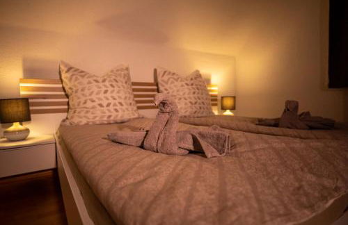 Hochrhein Ferienwohnung - Foto 1