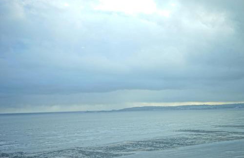 Beach on the doorstep Meridian Tower Marina Swansea - Foto 47