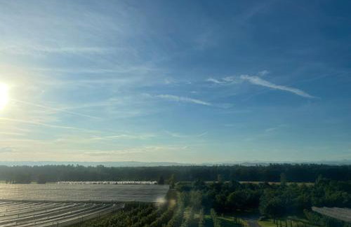 Bergchalet Mirabell - Hofgut - Foto 55