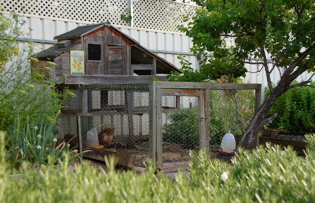 Vintners House - Foto 23