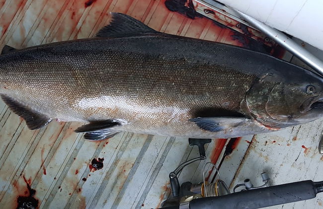 Parque Los Arrayanes & Salon de Eventos - Foto 16