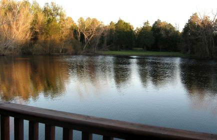 Secluded Lodge with a Private Pond and a Hot Tub near Bastrop, Texas - Foto 17