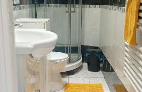 Appartement lumineux à Arcueil-Cachan - Foto 33