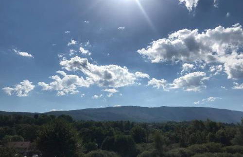 L'EDELWEISS - Foto 9