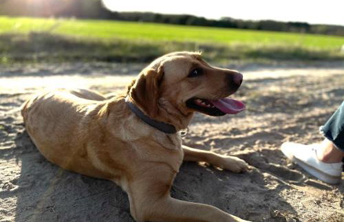 Folwark Minikowo - Agroturystyka w Borach Tucholskich - 5 pokoi z prywatnymi łazienkami - Foto 80