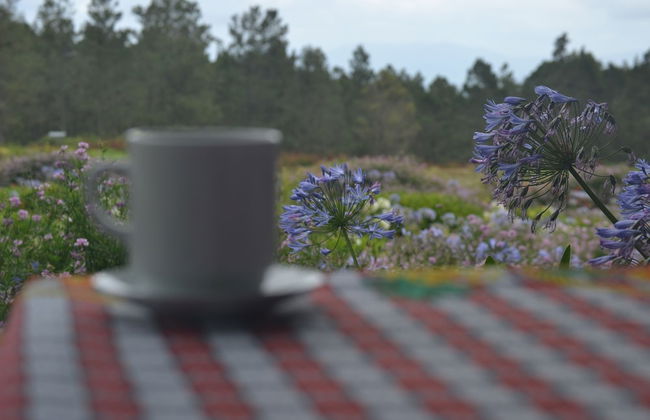 Villa Pajon Eco Lodge - Foto 45