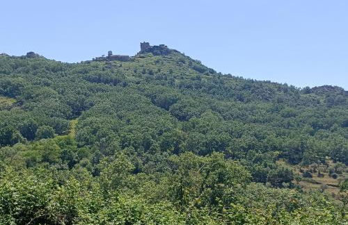 El Refugio de Villamiel - Foto 23