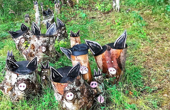 6 Person Holiday Home in Stjarnhov-by Traum - Foto 26