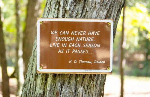 Cabin in the Woods - Hot Tub, Fire Pit, BBQ - Foto 15