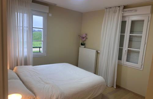 Family's house - Villa proche de la vallée village et Disneyland paris ,2 parkings, air condition - Foto 25