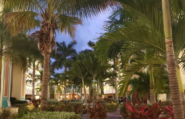 Sunset Vistas Beachfront Suites - Foto 18