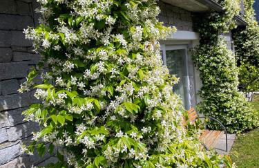 Comacina Villa - Foto 55