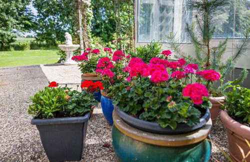 Ferienhäuser Ella Walter - Efeuhaus - Foto 73