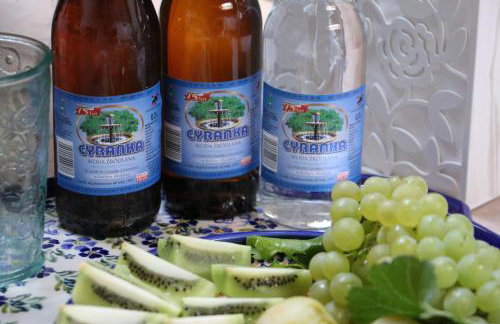 Pszczelarnia Dom Pracy Twórczej - Foto 7